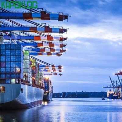 DDP Fast Sea Freight China Freight Forwarder