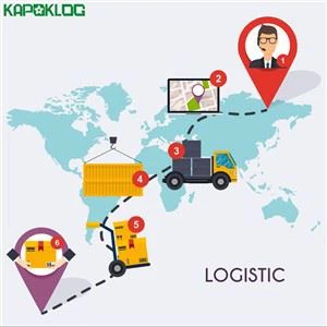 Professional Amazon Sea Shipping Usa